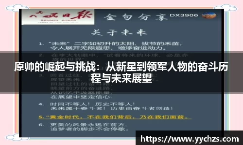 OB视讯